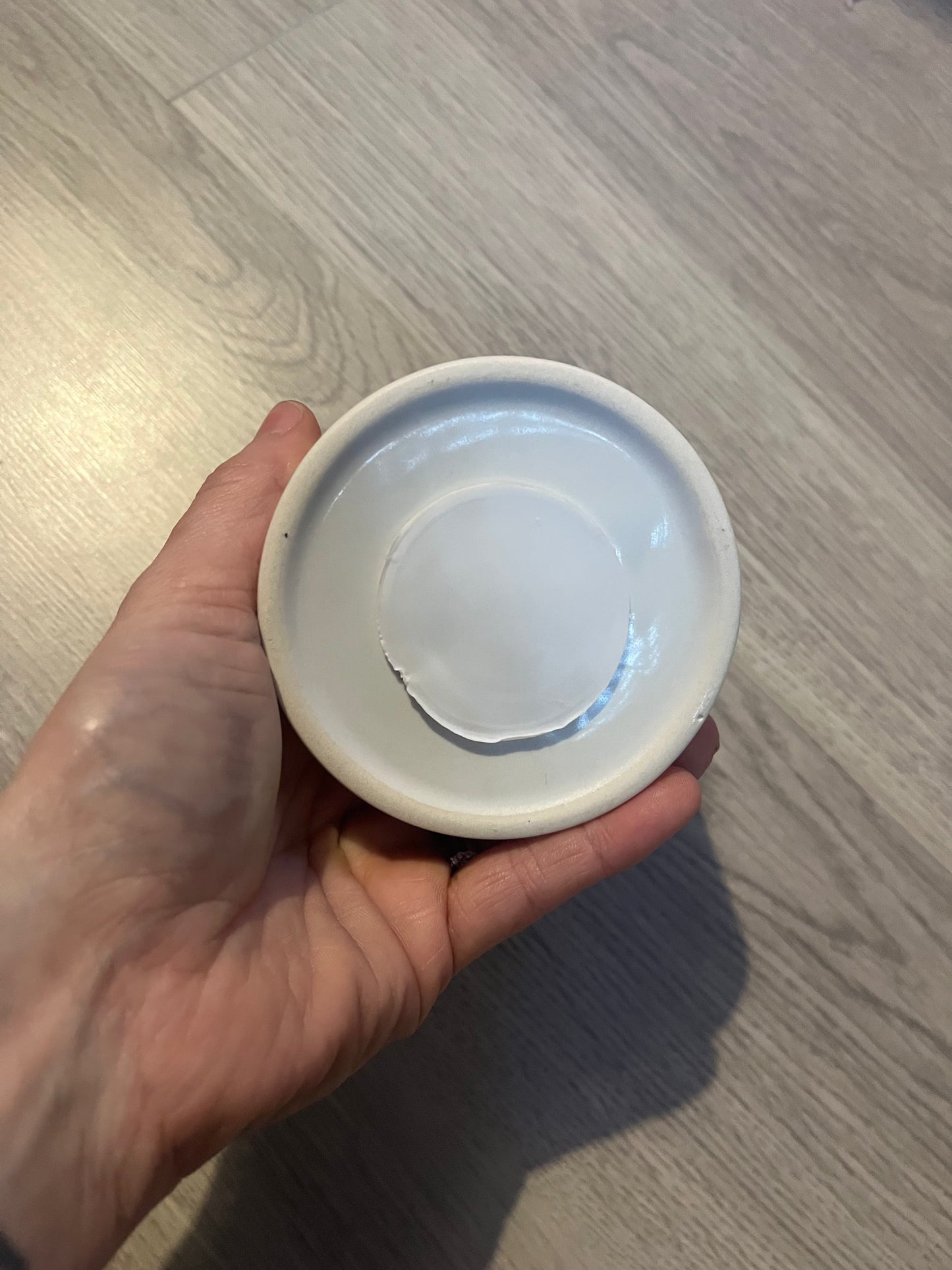 Charlotte money box